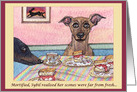 Plain for your own greeting, dog, greyhound, whippet, card