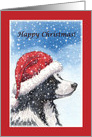 Christmas card, dog, Border Collie card