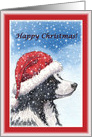 Christmas card, dog, Border Collie card