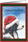 Christmas card, dog, Border Collie card