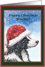 Christmas card, Brother, dog, Border Collie card