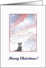 Christmas card, dog, Border Collie card