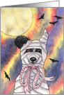 A Border Collie Dog has been wrapped up in Mummy Fashion for Halloween card