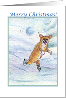 merry christmas, corgi, dog, snowballs, card