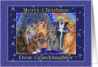 Cats Sing Carols for a Dear Granddaughter because it’s Christmas card