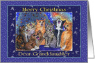 Cats Sing Carols for a Dear Granddaughter because it’s Christmas card