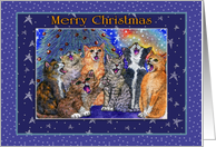A Choir of Cats sing Merry Christmas card