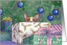 Christmas presents, gifts, corgi, blank card