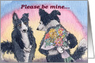 Border Collie, dog, flowers, please be mine, valentine, card