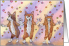 Tap Dancing Corgi Dogs card