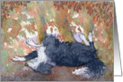 Border Collie dog rolling in autumn leaves card