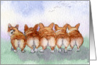 Five Corgi dogs go for a walk card