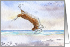 Corgi dog somersaulting on the beach card