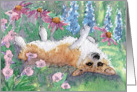 Corgi dog rolling in the herbaceous border card
