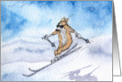 Corgi dog skiing card