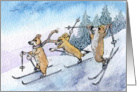 Three Corgi dogs skiing card