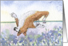 The Corgi Games, high jump, corgi, dog, card