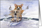 The Corgi Games, rowing, corgi, dog, card
