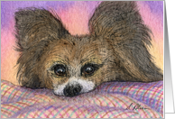 Papillon butterfly dog waiting watercolor painting card