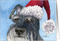 Merry Christmas Santa Schnauzer card