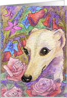 Greyhound whippet and flowers roses Card