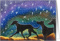 Three greyhound whippet dogs starry night holiday card