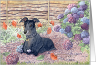 Greyhound dog helping in the garden Card