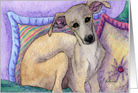Greyhound whippet dog sitting in cushions Card