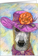 Greyhound whippet dog chuffed with new hat Card