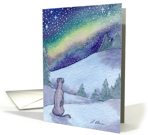 Greyhound whippet dog, starry, starry night card (1039215)