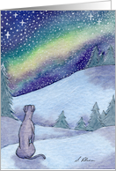 Greyhound whippet dog, starry, starry night Card