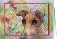 Greyhound whippet dog hiding in the garden Card
