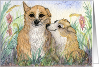 Welsh Corgi dogs teasing - give us a kiss luv! Card