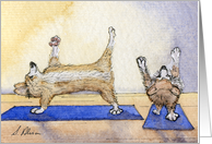 Corgi dogs practicing yoga together card