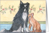 Dog n Mog # 1 - We’re pals. Yes, we are! card