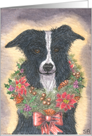 His posh, festive collar card