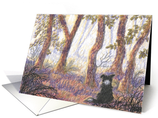 Forest morning card (119149)