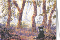 Forest morning card