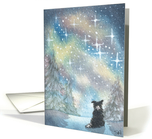 Starry, starry night card (127625)