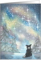 Starry, starry night card