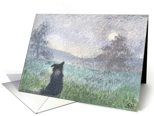 Mist before the sun card (129935)