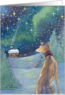 Greyhound dog gazes across the starlit snow towards the warmth of home card