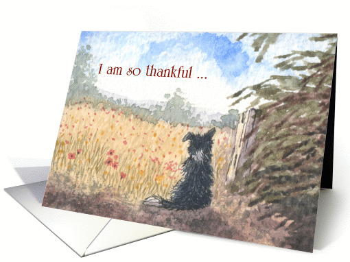 Happy Thanksgiving card (1442016)