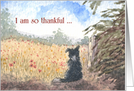 Happy Thanksgiving card