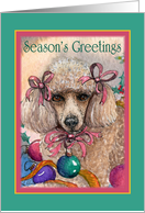 Season’s Greetings. Christmas poodle. card