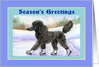 Seasons Greetings. Black poodle on ice skates. card
