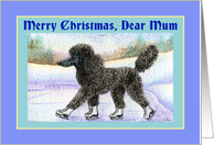 Merry Christmas, Dear Mum, black poodle on ice skates. card