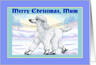 Merry Christmas, Mum, white poodle on ice skates. card