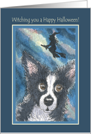 Happy Halloween, border collie with witch flying overhead. card