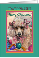 Merry Christmas dear Sister, Christmas Poodle with baubles card